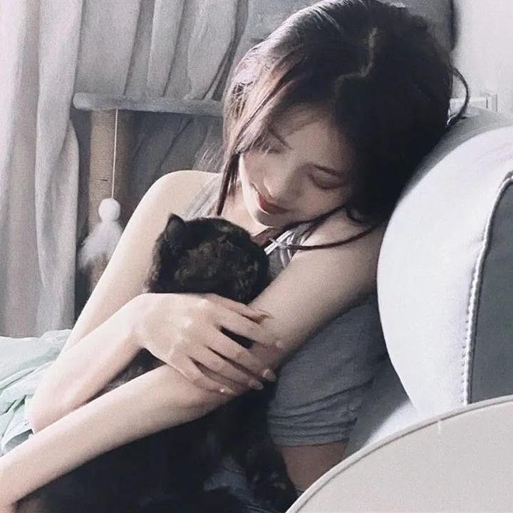 猫贼